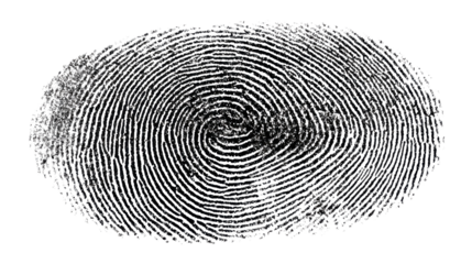 Fingerprint providing biometric identity for security, privacy, and access control, showing unique human identification with transparent background