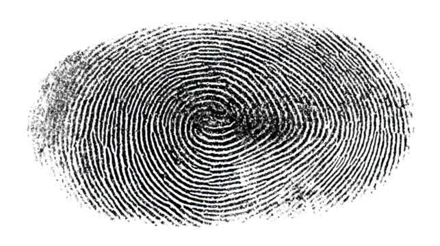 Fingerprint providing biometric identity for security, privacy, and access control, showing unique human identification with transparent background - Powered by Adobe