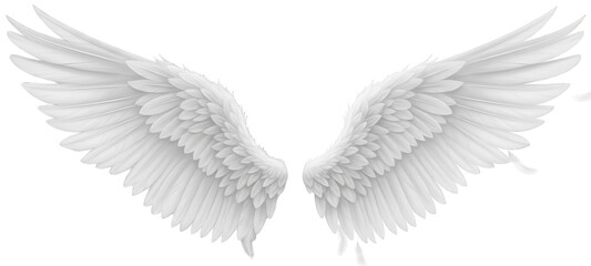Exquisite, detailed, and ethereal white feathered wings with a soft gradient and subtle shading, gracefully spread outwards in a dynamic pose, illuminated by, isolated on transparent background.