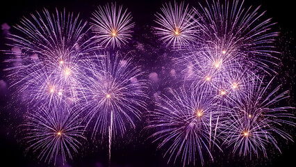 Vibrant purple fireworks illuminating the night sky