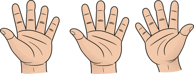 Obraz premium A detailed vector of an open human hand palm facing outwards 