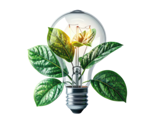 Lightbulb with leafy green plant growing inside, bright concept