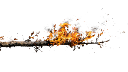 Burning branch with bright flames and smoke on transparent background representing wildfire, destruction, danger