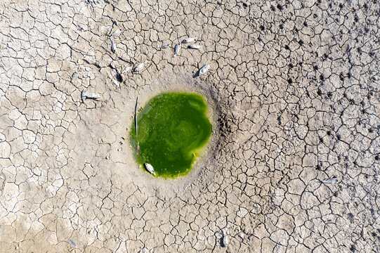 Drought and Death
