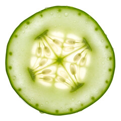 Cross section of a fresh cucumber