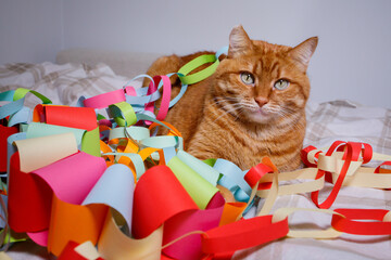 Orange cat sitting on bed surrounded with many festive multicolored Christmas handmade garlands and looking at camera. Domestic pets at home during winter holidays.