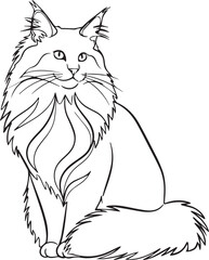 Elegant longhaired cat sitting © MST MAJADA