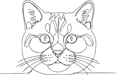 Curious cat peeking over edge © MST MAJADA