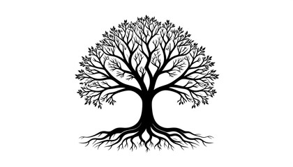 Obraz premium Intricate black silhouette of a mature tree with sprawling roots and delicate leaves against a white background.