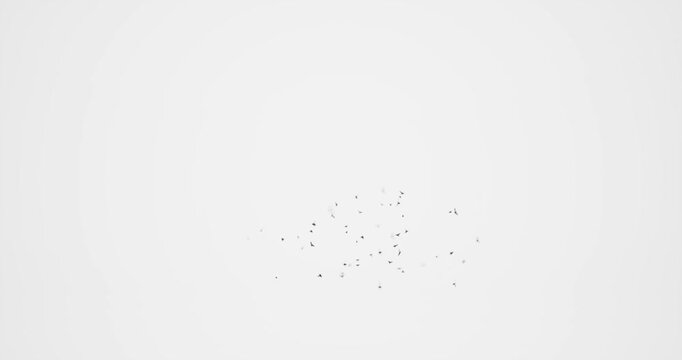 bug swarm effect on white background