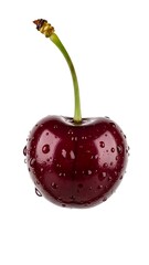 Single fresh red cherry with a green stem and water drops isolated on white background. Macro photography of a wet sweet berry fruit.