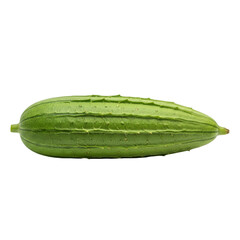 Fresh green zucchini vegetable