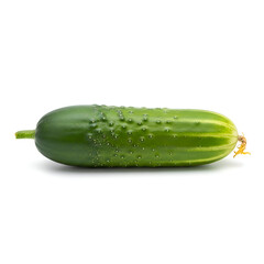 Fresh green cucumber with water droplets