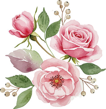 Seamless pattern with beautiful pink rose flowers and green leaves featuring blooming buds and delicate petals isolated on a white background for a floral spring garden nature concept