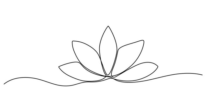Animated self drawing of  Lotus flower continuous one line drawing. Wellness concept in simple linear style. Vector illustration, Single line, continuous, lotus flower line , Animated, motion, video,