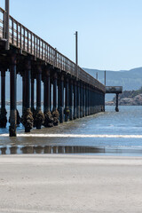 Crescent City pier at low tide
