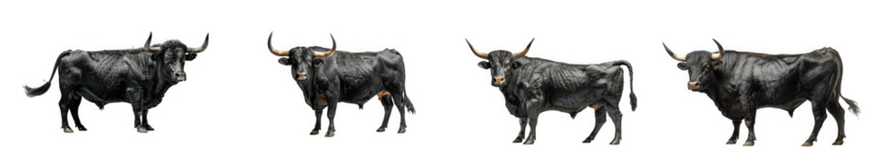 Four depictions of a black bull in different poses showcasing its strength and form on transparent background