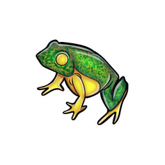 Cute Cartoon Frog Illustration Hand Drawn Style