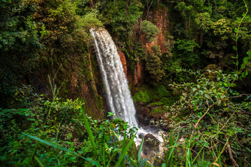 A powerful waterfall cascades down a rocky cliff, surrounded by the lush, vibrant green foliage of a dense tropical forest. A beautiful and wild natural scene of pure, flowing water in motion.