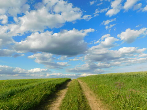 green meadow with blue sky and fluffy clouds - Powered by Adobe