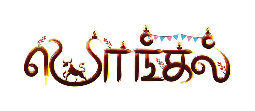 Pongal Typography Tamil Festival Text Vector Design | Tamil Pongal Festival Typography Vector Illustration 