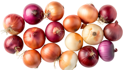 A beautiful array of whole yellow red and white onions showing off their diverse colors and textures against transparent background