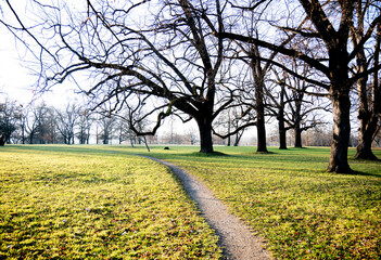 schmaler Fu&szlig;weg in einem winterlichen Park