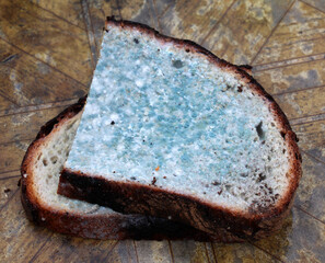 On the table is bread with mold.