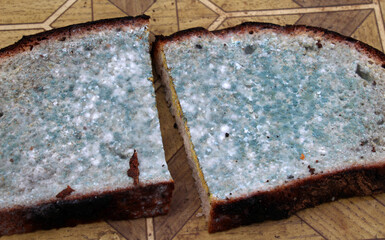 On the table is bread with mold.