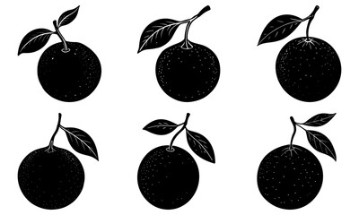 Five black longan fruits with leaves on white background silhouette leaf