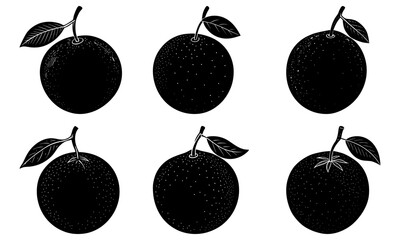 Five black longan fruits with leaves on white background silhouette leaf 1