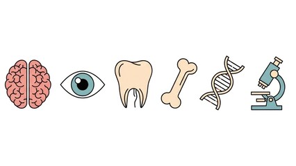 Medical icons brain eye tooth bone dna strand and microscope