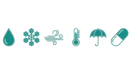 Weather icons water drop snowflake wind thermometer umbrella capsule illustrations