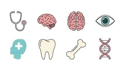 Medical icons brain eye and other healthcare symbols on white background