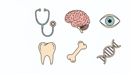 Medical icons representing human health and anatomy on white background