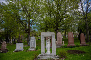 Angel statue and gravestones in a tree-lined cemetery
