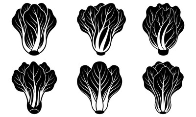 Six black and white cabbage leaf on a transparent background vegetable plant