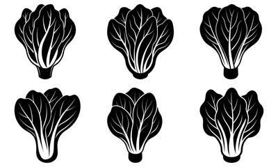 Six black and white leafy vegetable silhouettes on a white background lettuce cabbage