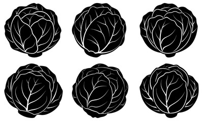 Six Black Cabbage Silhouettes on White Background vegetable