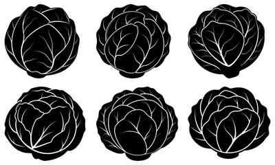 Six Black Cabbage Silhouettes on White Background vegetable 1