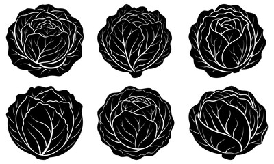 Six Black and White Cabbage Silhouettes on White Background vegetable plant