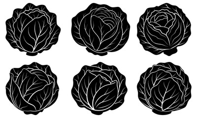 Six Black Cabbage Leaves with White Veins on White Background leaf vegetable