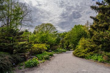 Gravel path through lush green trees in a botanical garden