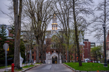 Tree-lined street leading to Pavillon Louis-Jacques-Casault in Quebec City