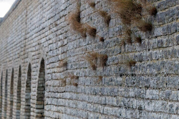 Grass growing from stone wall, nature reclaiming architecture