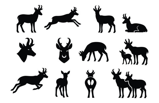Black pronghorn antelope silhouettes in various poses and views animal wildlife white