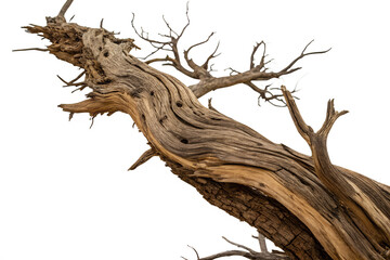 A close-up of a twisted, dead tree branch with a rough, weathered texture, isolated on a white background. The branch has a unique, gnarled shape with several smaller branches extending from it.