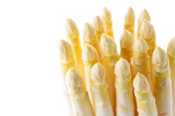White Asparagus Bunch Close-up - Fresh Produce Still Life