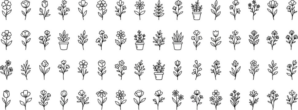 Flower and botanical icon set, vector glyph silhouettes featuring magnolia, dahlia, calla lily, primrose and garden plants, elegant black floral pictograms for nature decoration, spring summer flora 