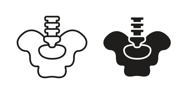 Pelvic area icons. silhouette icon vector flat illustration on white background. line art icons